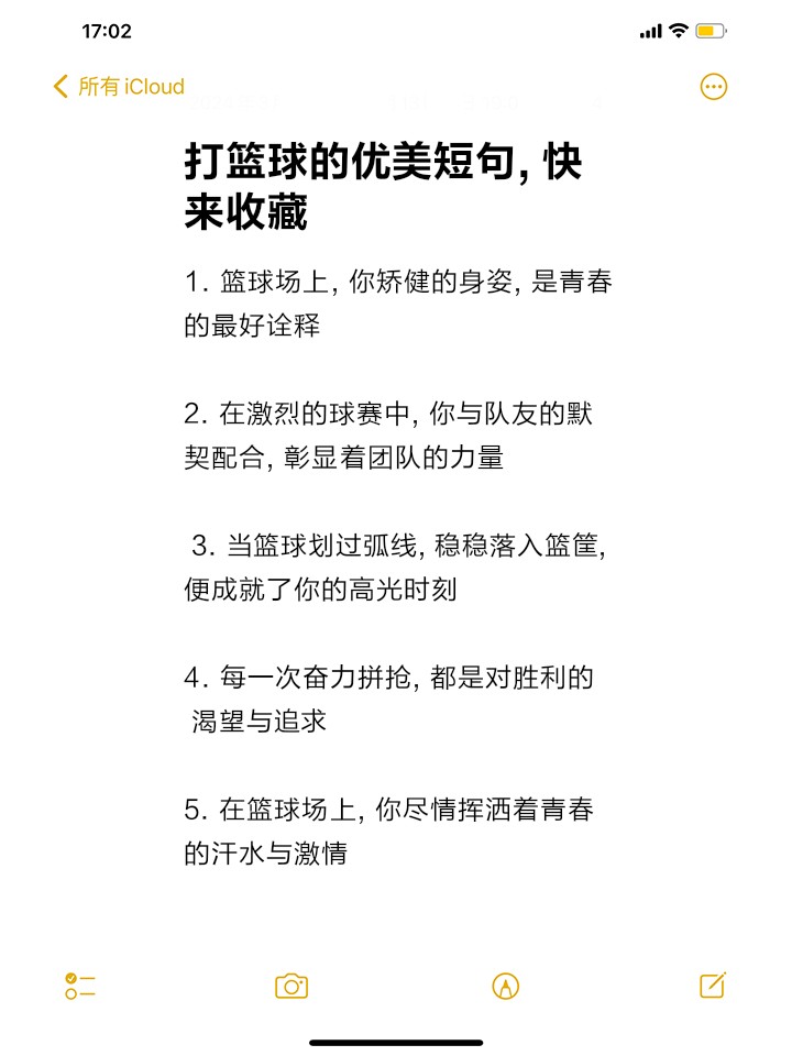 篮球训练的感悟心得体会500字内容_1
